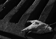Polio Detected In New York City Wastewater