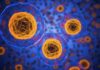 President Biden’s Cancer Moonshot Initiative