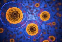 President Biden’s Cancer Moonshot Initiative
