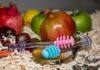 Celebrating Rosh Hashana
