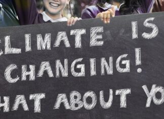 What Is Disruptive Climate Activism?