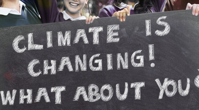 What Is Disruptive Climate Activism?
