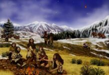 The Nobel Prize In Physiology Or Medicine Goes To Svante Paabo For His Neanderthal Research