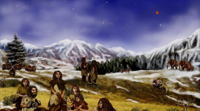 The Nobel Prize In Physiology Or Medicine Goes To Svante Paabo For His Neanderthal Research