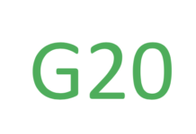 The 2022 G20 Summit