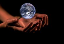 International Climate Negotiations(COP27) Begin In Egypt