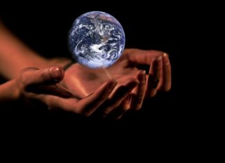 International Climate Negotiations(COP27) Begin In Egypt