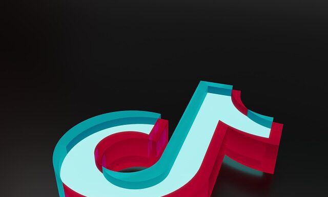 TikTok To Be Banned On US Government Devices