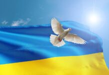 Volodymyr Zelenskyy’s Trip To The United States