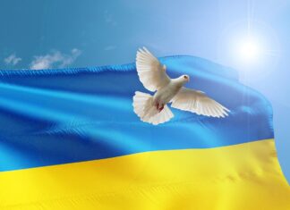 Volodymyr Zelenskyy’s Trip To The United States