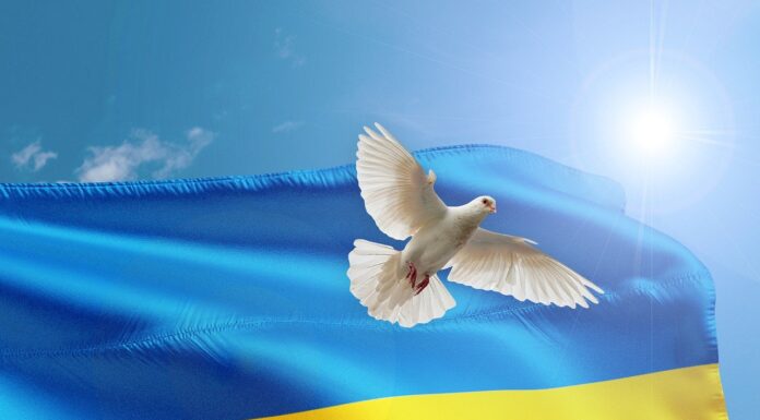 Volodymyr Zelenskyy’s Trip To The United States