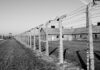 International Holocaust Remembrance Day