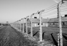 International Holocaust Remembrance Day