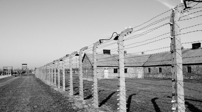 International Holocaust Remembrance Day