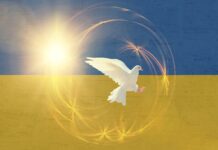 The United States Announces It Will Start Training Ukrainian Troops In The U.S.A