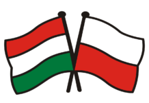 Poland And Hungary Ban Ukrainian Grain Imports