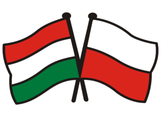Poland And Hungary Ban Ukrainian Grain Imports