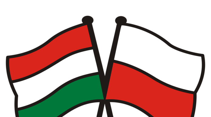 Poland And Hungary Ban Ukrainian Grain Imports