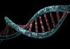 Spies Can Send Messages Using DNA