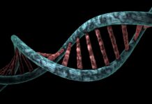 Spies Can Send Messages Using DNA