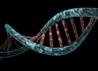 Spies Can Send Messages Using DNA