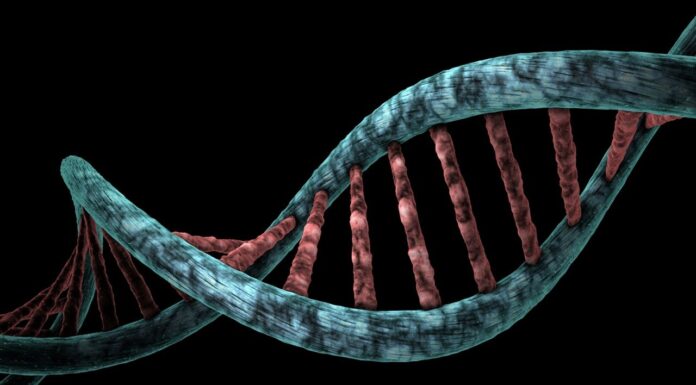 Spies Can Send Messages Using DNA