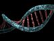 Spies Can Send Messages Using DNA