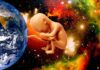 Japan Says They Will Have Lab Grown Babies In Five Years