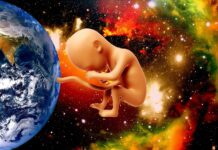 Japan Says They Will Have Lab Grown Babies In Five Years