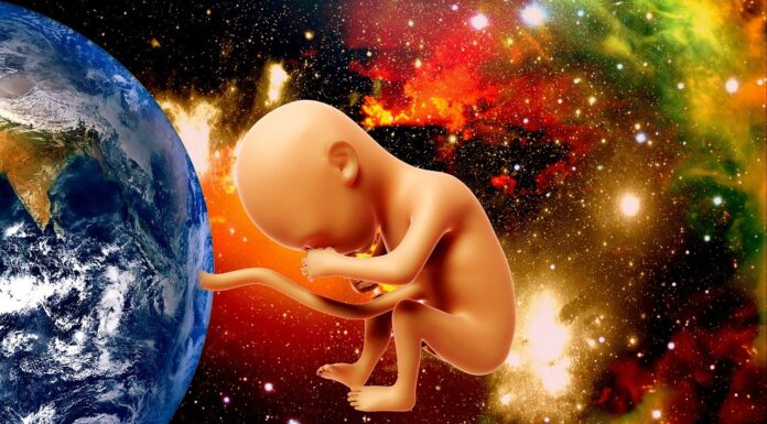 Japan Says They Will Have Lab Grown Babies In Five Years