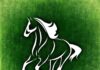 Highlights Of The 2023 Preakness
