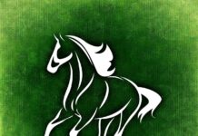 Highlights Of The 2023 Preakness