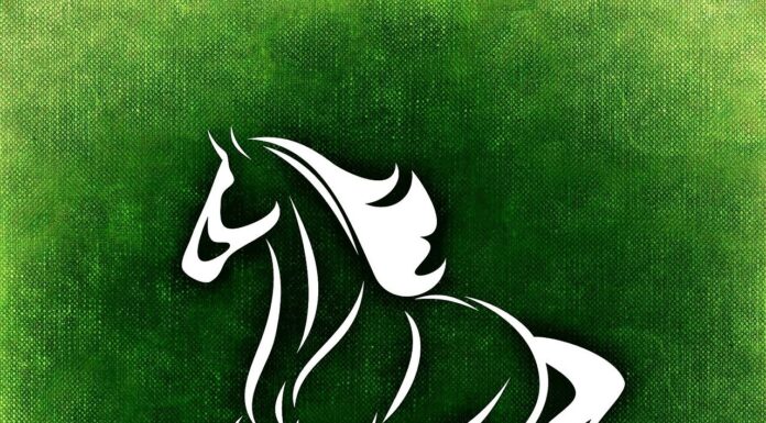 Highlights Of The 2023 Preakness