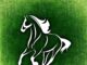 Highlights Of The 2023 Preakness