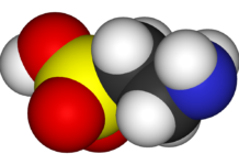 Scientists Discover Taurine Increases Lifespan In Mice