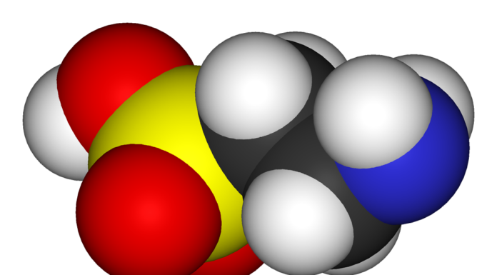 Scientists Discover Taurine Increases Lifespan In Mice