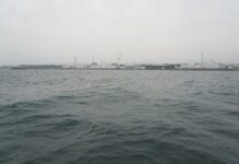 Japan Releases Nuclear Waste Into The Sea