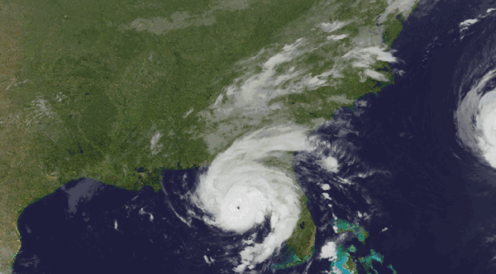 Hurricane Idalia