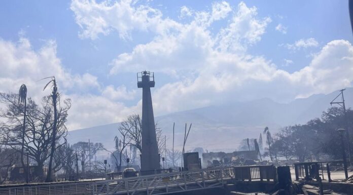 Devastation on Hawaii’s Maui Island