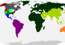Highlights Of The 2023 Little League World Series