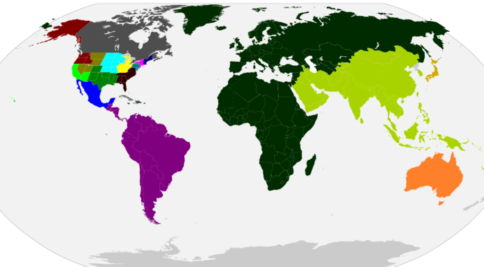 Highlights Of The 2023 Little League World Series