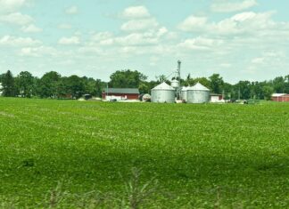 China Continues To Buy US Farmland
