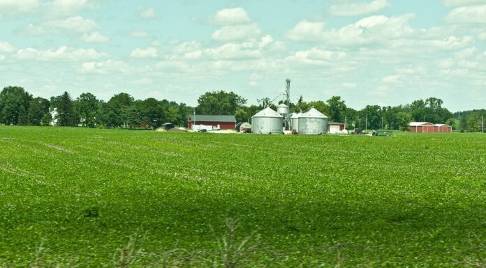 China Continues To Buy US Farmland