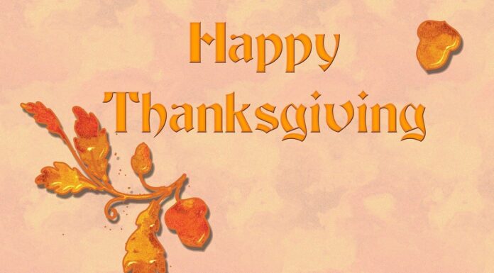 Happy Thanksgiving!