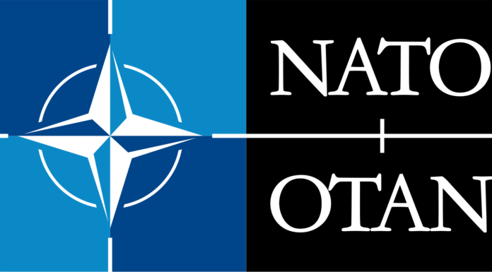 Putin Said Russia Would Never Attack A NATO Country
