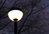 Shedding Light On Insect Disorientation By Artificial Illumination