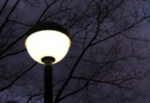 Shedding Light On Insect Disorientation By Artificial Illumination