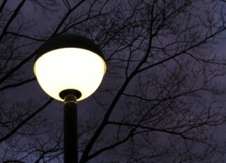 Shedding Light On Insect Disorientation By Artificial Illumination