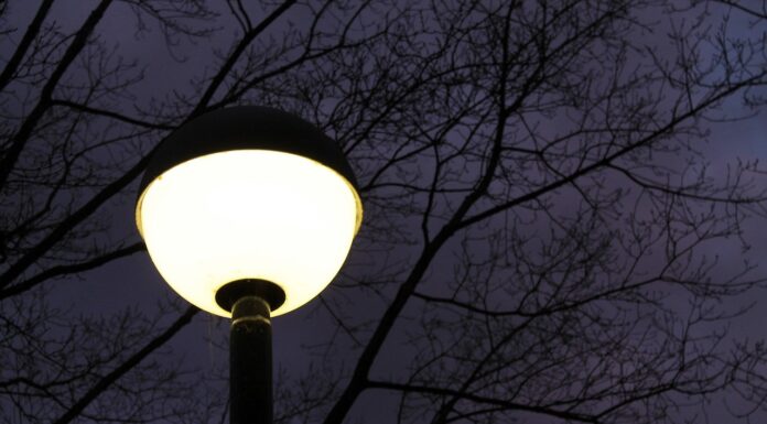 Shedding Light On Insect Disorientation By Artificial Illumination