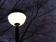 Shedding Light On Insect Disorientation By Artificial Illumination